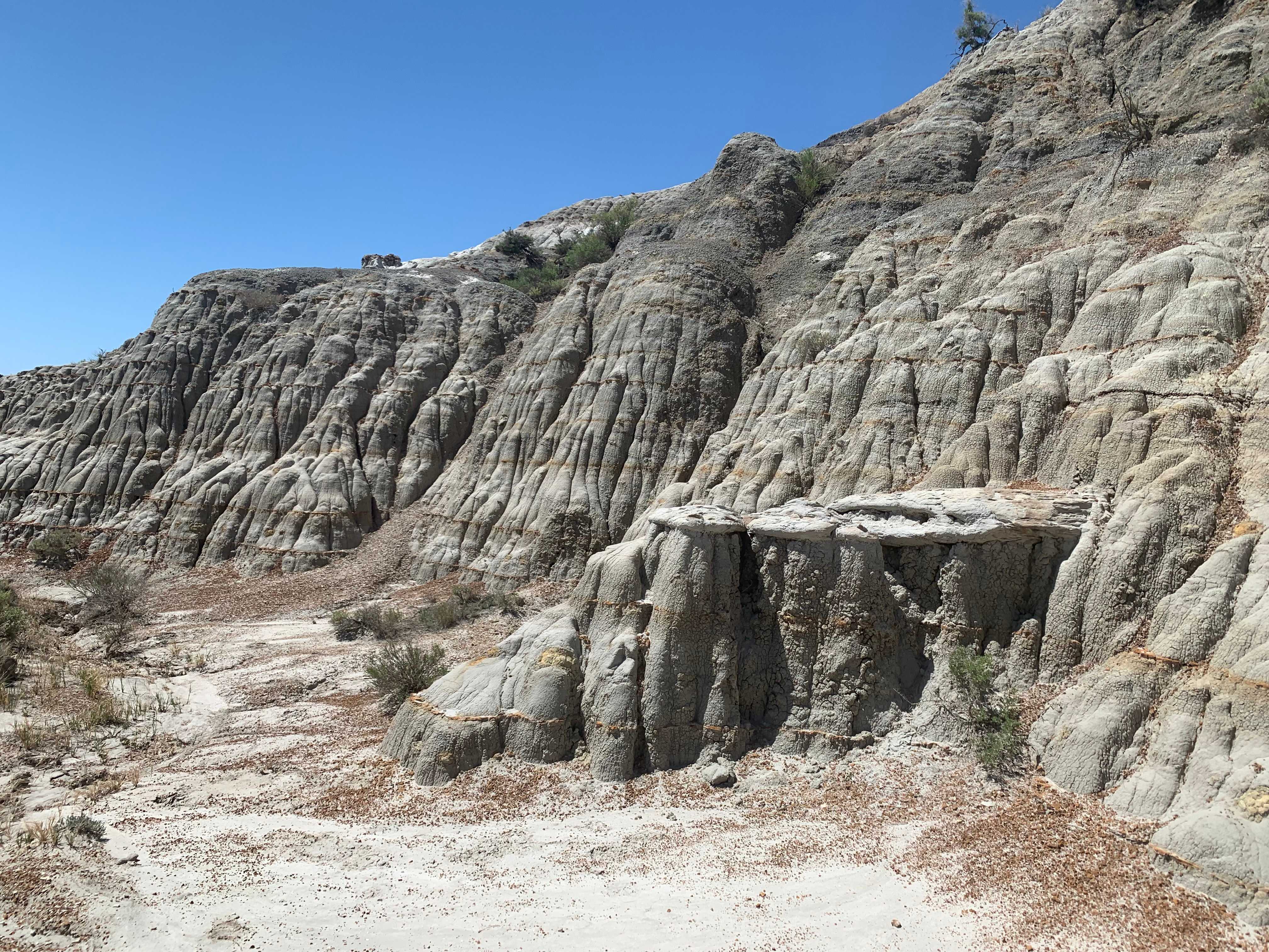 Theodore Roosevelt NP